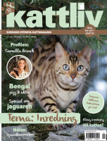 @Magazinesy Kattliv - januari 2022.pdf